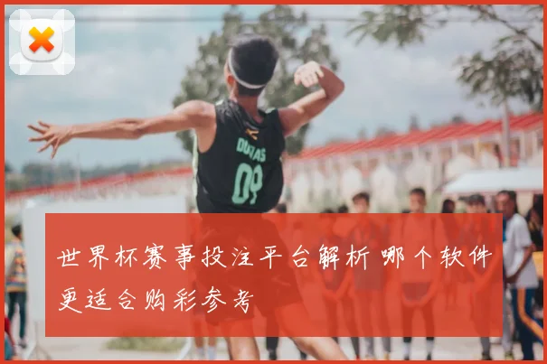 世界杯赛事投注平台解析 哪个软件更适合购彩参考