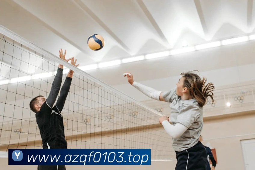 米兰app体育登录入口服务体系